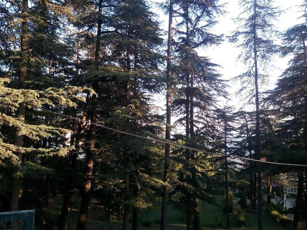 Torrentium Lodge Shimla Extérieur photo